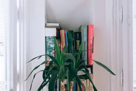 荐号 | 几个经典的教育类公众号图片