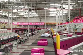 智能化、自动化技术，高效助力唯品会决胜电商购物节图片