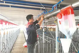 做好“菜篮子”的稳产保供——走进温氏集团永州温氏畜牧有限公司图片