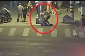 玩嗨了，萨摩耶见小狗后失控满街疯窜，主人未给其上嘴套被罚图片