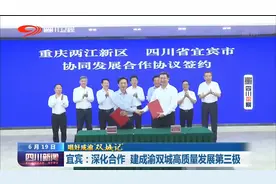四川新闻丨宜宾：深化合作 建成渝双城高质量发展第三极图片