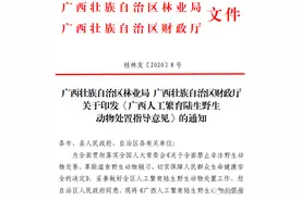 广西补偿标准定了！竹鼠180元/只，果子狸1000元/只…图片