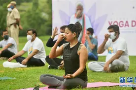 瑜伽日里练瑜伽图片