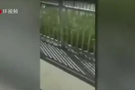 禁止锁喉令通过后，纽约市一警察因对黑人实施锁喉被停职停薪视频封面