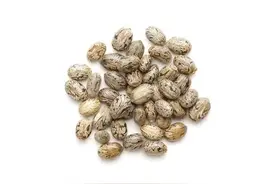 两年轻姑娘凌晨捂着肚子跑急诊！医生一听原因急了图片