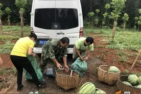武汉地铁扶贫干部帮助贫困户家庭卖西瓜图片