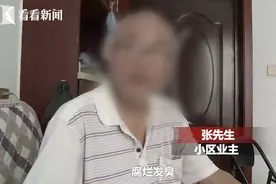 小区绿化带养了十几只鸡 居民们每天被迫“闻鸡起舞”图片