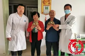 饲养28年才知是一级保护动物！伊春老夫妇将陆龟上交国家图片