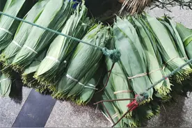 特写：一片深山粽叶漂洋过海的“芬芳之旅”图片