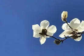 与你谈“心”丨这封信，送给即将远行的你图片