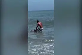 美国一男子海边徒手抓住鲨鱼 掰开鱼嘴向围观者炫耀图片