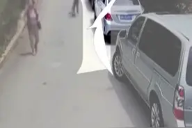 青岛一哈士奇咬伤3名儿童遭小区业主驱逐，68岁狗主人：我与它相依为命图片