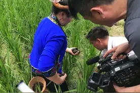 螺蛳拟被列入国家二级保护动物，还能愉快地嗦螺蛳粉吗？图片