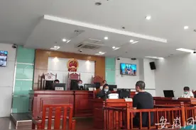 男子购买非洲灰鹦鹉当宠物养 获缓刑并向公众公开赔礼道歉图片