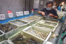 休渔期老饕解馋指南：花蛤、蛏子、蛤蜊、鲍鱼、竹蛏…贝壳类海鲜最肥美季到了图片