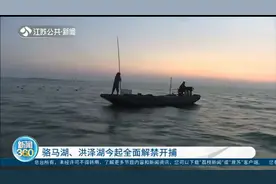 官宣！封湖禁渔五个月，骆马湖、洪泽湖7月1日起全面解禁开捕视频封面