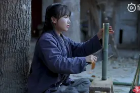 被海外博主模仿、甚至直接“搬走”视频，李子柒怎么维权？图片