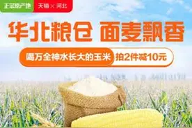 数字粮仓 河北探路农村电商产业化图片