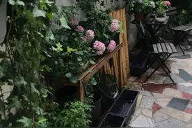 等我老了以后，找个小院落脚，陪你养花种菜图片