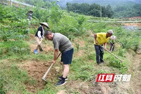 新邵：扶贫队长和残疾人家庭三个大学生的故事图片