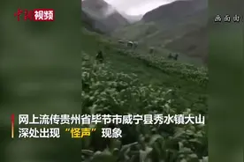 贵州山中传出龙吟？专家初步认定为鸟类发出声源视频封面