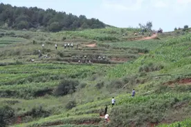 威宁查处多人给“不明声响”加恐怖音效：2人被行拘图片