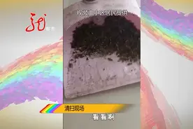 母女养了七八条狗，深夜狗叫声此起彼伏，屋内外蟑螂成群…邻居怒了图片