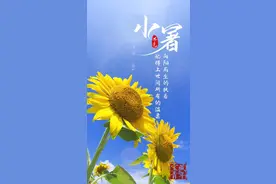 一转眼，就已经是炎夏了……图片