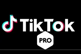 印度宣布封禁抖音之后，虚假的抖音Pro就来了图片