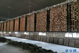 一个“凋敝”山村的产业探索图片