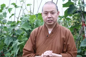 高考守护星⑥｜延参法师佛系助考：怀揣梦想，迎接下一段美好时光图片