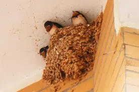 回复是一种美德图片