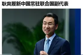 耿爽的履职简历，网友关注点全跑偏…图片