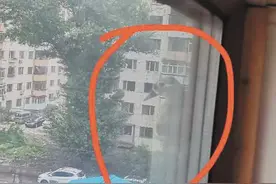 母鸳鸯阳台烟道里絮窝 烟熏火燎也没耽误它“生娃”图片