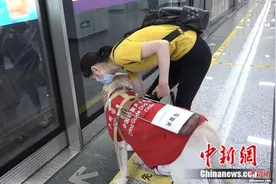 “90后”盲女和她的导盲犬“王子”：它是我们家一分子图片
