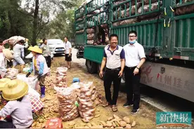 扶贫干部变“推销员”32吨番薯远销3000公里外图片