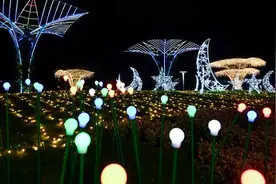 “夜放花千树”宁波植物园点亮盛夏奇妙夜图片