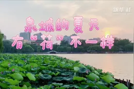 泉城的夏天 有“荷”不一样视频封面