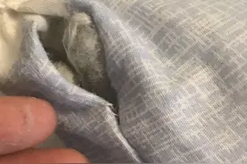 成也萧何败也萧何？靠品牌授权发家的“南极人”为何屡被监管点名图片