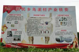 致富路上领头羊 打赢脱贫攻坚战--乌溪村原党支部书记刘玖凰图片