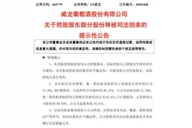 控股股东股份遭拍卖，ST威龙前路成谜图片