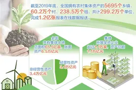 全国农村集体“家底”摸清楚了图片