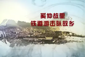 “云”游铁道游击队纪念馆｜铁道铿锵忆英豪图片