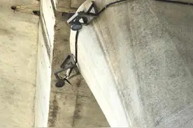 爱心接力！东莞猫坚强被困桥墩两个月获救图片