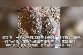 中储粮：视频反映肇东收储库储备玉米问题与事实不符图片