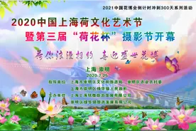 美食、摄影、篝火晚会……崇明这个艺术节“荷”你相约~图片
