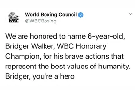 6岁男孩护妹与恶狗搏斗受伤被缝90针，WBC授其“荣誉拳王”称号图片