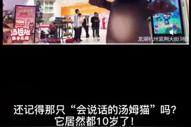 「视频」“会说话的汤姆猫”10岁了，要建主题商业综合体，你会去“打卡”吗？图片