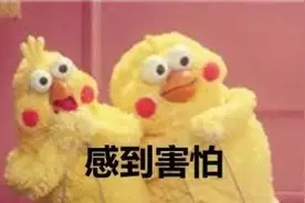 吓人！合肥一小区惊现这种蛇！专家说：不用怕…图片