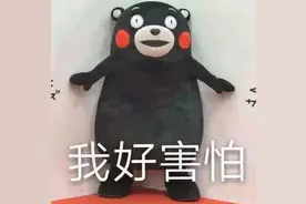 不少金山市民家中出现这种小虫子！还有臭味……图片